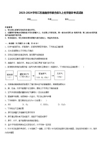 2023-2024学年江苏省南京市联合体九上化学期末考试试题含答案