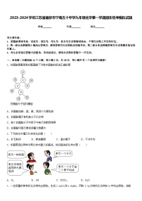 2023-2024学年江苏省南京市宁海五十中学九年级化学第一学期期末统考模拟试题含答案