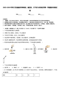 2023-2024学年江苏省南京市栖霞区、雨花区、江宁区九年级化学第一学期期末经典试题含答案