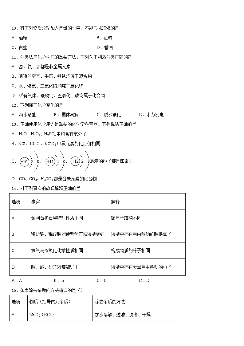 2023-2024学年江苏省南京市文昌中学九年级化学第一学期期末综合测试试题含答案第3页