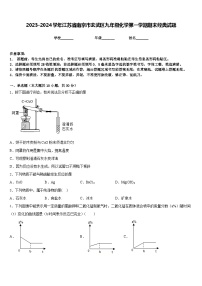 2023-2024学年江苏省南京市玄武区九年级化学第一学期期末经典试题含答案