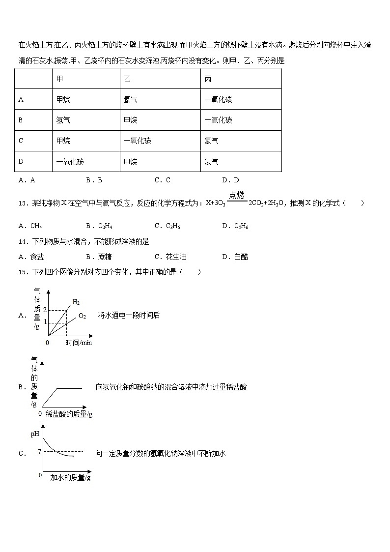 2023-2024学年江苏省南通市通州区九上化学期末监测模拟试题含答案第3页