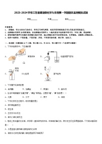 2023-2024学年江苏省建湖县化学九年级第一学期期末监测模拟试题含答案