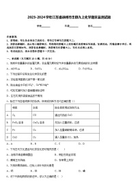 2023-2024学年江苏省徐州市丰县九上化学期末监测试题含答案