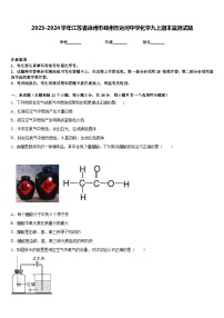 2023-2024学年江苏省徐州市邳州市运河中学化学九上期末监测试题含答案