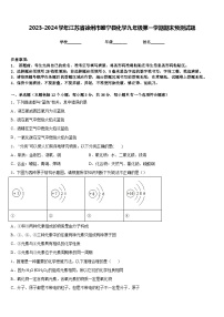 2023-2024学年江苏省徐州市睢宁县化学九年级第一学期期末预测试题含答案