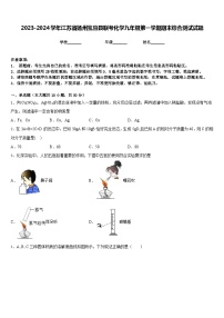 2023-2024学年江苏省扬州宝应县联考化学九年级第一学期期末综合测试试题含答案