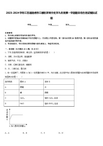 2023-2024学年江苏省扬州市江都区邵樊片化学九年级第一学期期末综合测试模拟试题含答案