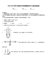 2023-2024学年江苏省宜兴市环科园联盟化学九上期末监测试题含答案