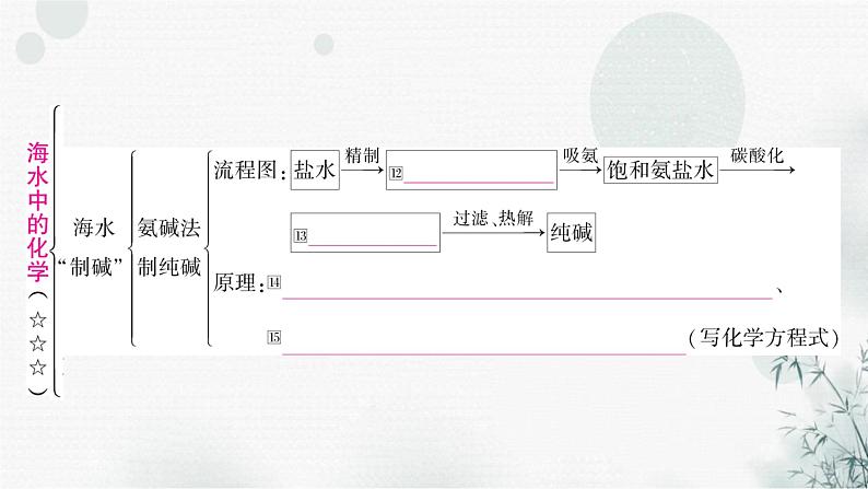 鲁教版中考化学复习第八单元海水中的化学课件第6页