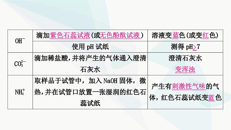 鲁教版中考化学复习第八单元海水中的化学重难突破10物质的检验与鉴别课件第4页