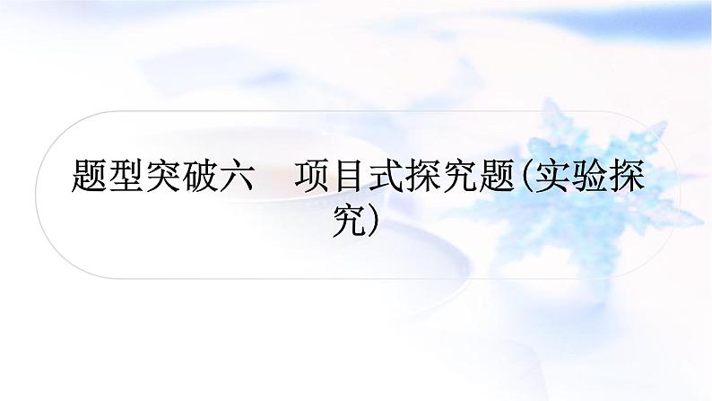 鲁教版中考化学复习题型突破六项目式探究题(实验探究)课件01