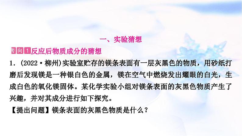 鲁教版中考化学复习题型突破六项目式探究题(实验探究)课件03