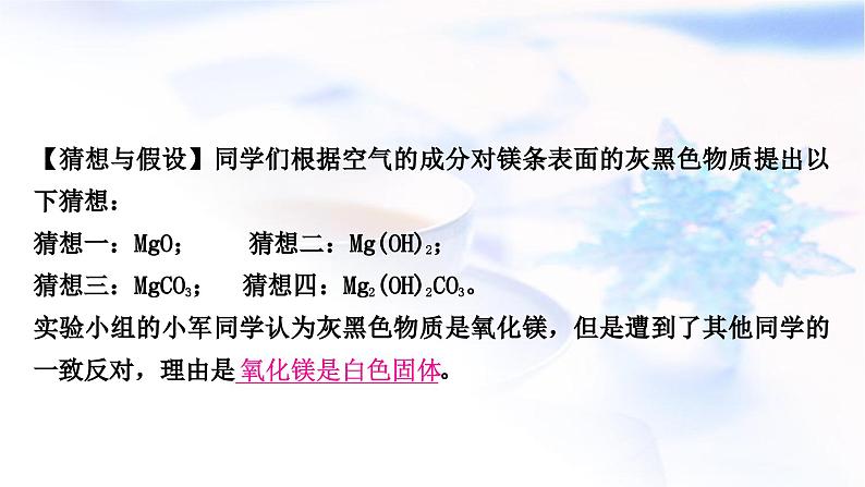 鲁教版中考化学复习题型突破六项目式探究题(实验探究)课件04