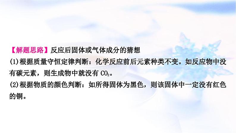 鲁教版中考化学复习题型突破六项目式探究题(实验探究)课件05