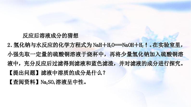 鲁教版中考化学复习题型突破六项目式探究题(实验探究)课件06