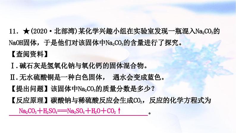 鲁教版中考化学复习题型突破六项目式探究题(实验探究)类型2单项实验探究课件02