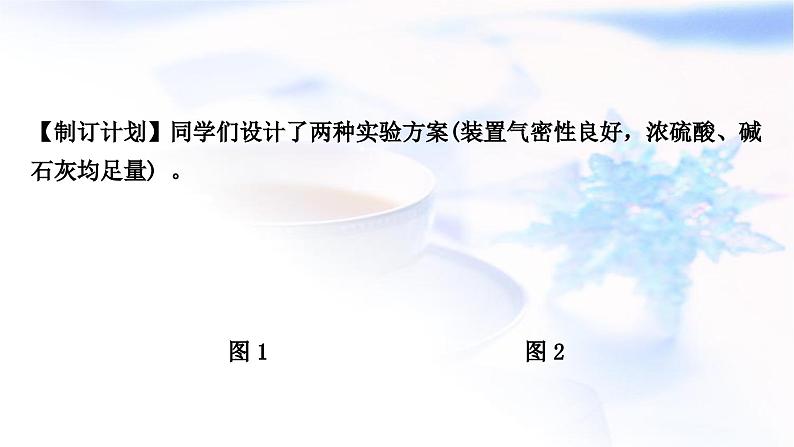 鲁教版中考化学复习题型突破六项目式探究题(实验探究)类型2单项实验探究课件03