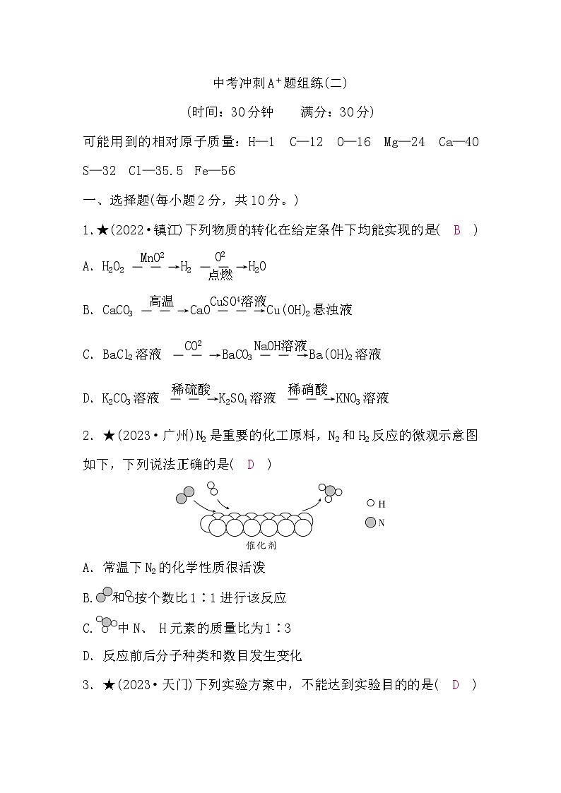 鲁教版中考化学复习冲刺A＋题组练(二)含答案第1页