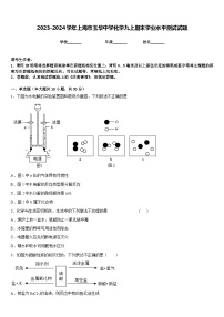 2023-2024学年上海市玉华中学化学九上期末学业水平测试试题含答案