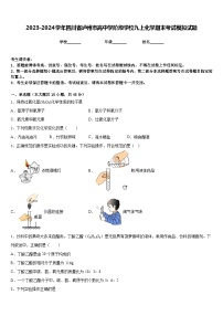 2023-2024学年四川省泸州市高中学阶段学校九上化学期末考试模拟试题含答案