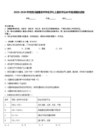 2023-2024学年四川省雅安中学化学九上期末学业水平测试模拟试题含答案