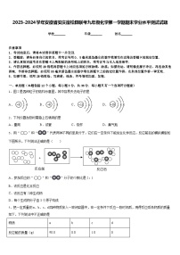 2023-2024学年安徽省安庆宿松县联考九年级化学第一学期期末学业水平测试试题含答案