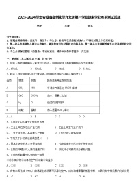 2023-2024学年安徽省宿州化学九年级第一学期期末学业水平测试试题含答案