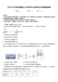 2023-2024学年安徽省颍上三中学化学九上期末学业水平测试模拟试题含答案