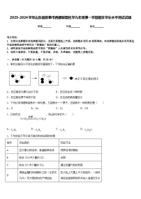 2023-2024学年山东省新泰市西部联盟化学九年级第一学期期末学业水平测试试题含答案