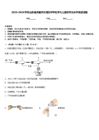 2023-2024学年山东省济南市长清五中学化学九上期末学业水平测试试题含答案