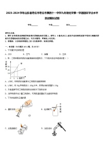 2023-2024学年山东省枣庄市枣庄市第四十一中学九年级化学第一学期期末学业水平测试模拟试题含答案