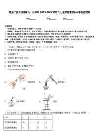 黑龙江省大庆市第六十九中学2023-2024学年九上化学期末学业水平测试试题含答案