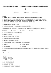 2023-2024学年山东省青岛二十六中学化学九年级第一学期期末学业水平测试模拟试题含答案