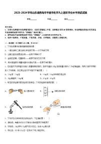 2023-2024学年山东省青岛市平度市化学九上期末学业水平测试试题含答案