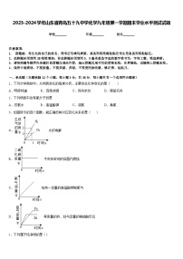 2023-2024学年山东省青岛五十九中学化学九年级第一学期期末学业水平测试试题含答案