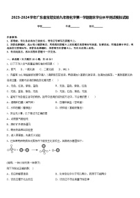 2023-2024学年广东省宝塔实验九年级化学第一学期期末学业水平测试模拟试题含答案