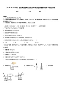 2023-2024学年广东省佛山南海区四校联考九上化学期末学业水平测试试题含答案