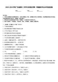 2023-2024学年广东省湛江二中学九年级化学第一学期期末学业水平测试试题含答案