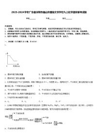 2023-2024学年广东省深圳市南山外国语文华学校九上化学期末联考试题含答案