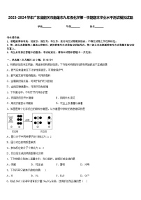 2023-2024学年广东省韶关市南雄市九年级化学第一学期期末学业水平测试模拟试题含答案