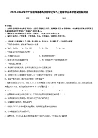 2023-2024学年广东省珠海市九洲中学化学九上期末学业水平测试模拟试题含答案