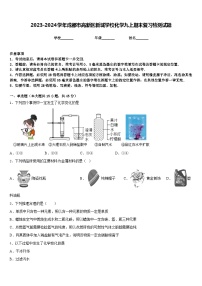 2023-2024学年成都市高新区新城学校化学九上期末复习检测试题含答案