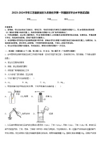 2023-2024学年江苏省新吴区九年级化学第一学期期末学业水平测试试题含答案