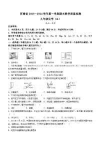 河南省商丘市夏邑县私立学校2023-2024学年九年级上学期1月期末化学试题