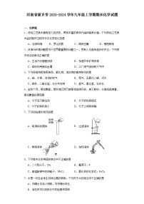 河南省新乡市2023-2024学年九年级上学期期末化学试题