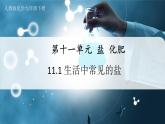 【人教版】九下化学  11.1 生活中常见的盐（第1课时）（课件+教案+导学案+分层练习）