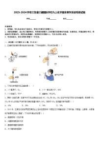 2023-2024学年江苏省江都国际学校九上化学期末教学质量检测试题含答案