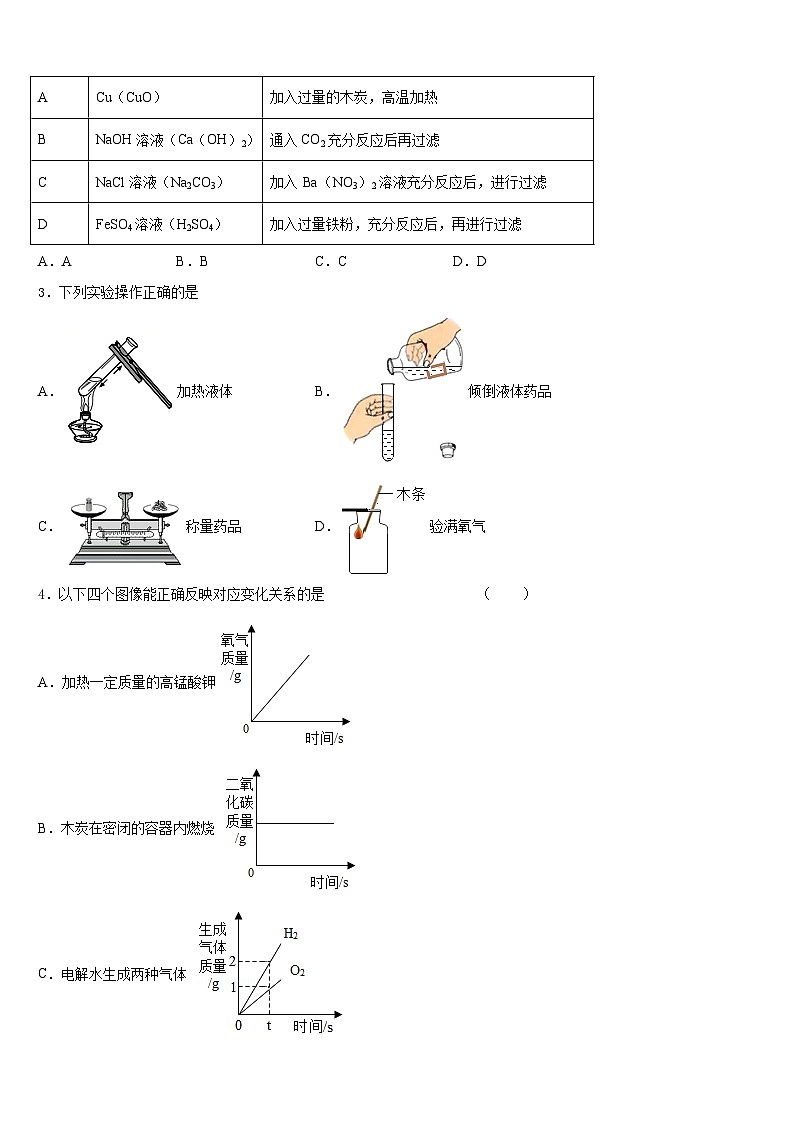 2023-2024学年江苏省江阴市南菁教育集团暨阳校区化学九年级第一学期期末学业质量监测模拟试题含答案02
