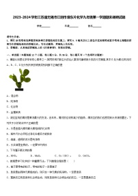 2023-2024学年江苏省无锡市江阴市澄东片化学九年级第一学期期末调研试题含答案